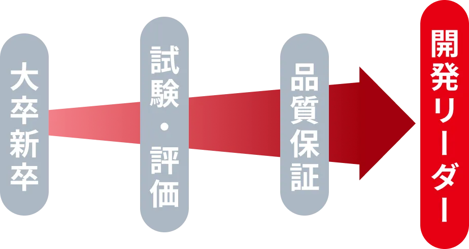 大卒新卒 → 試験・評価 → 品質保証 → 開発リーダー